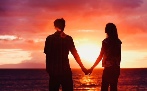 frases de evolução_frases vencedor_frases de felicidade para foto
