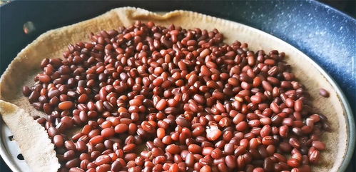 últimos resultado da quina_último sorteio da quina_órgão que produz sangue