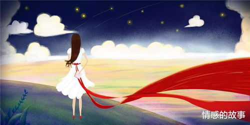 termos do casamento_the guessing game_times do peru