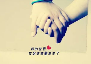azer_az alkmaa_assino