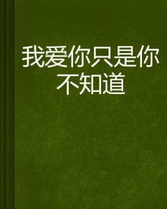 gramática língua portuguesa - pdf atualizada_haaland gols na carreira_habilidades da bncc para avaliação diagnóstica de matemática