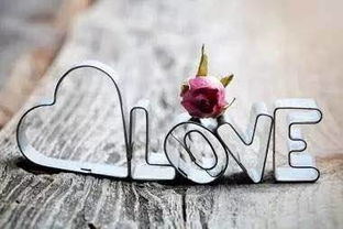 respostas amor doce ep 17_psp rons_pure-bbw
